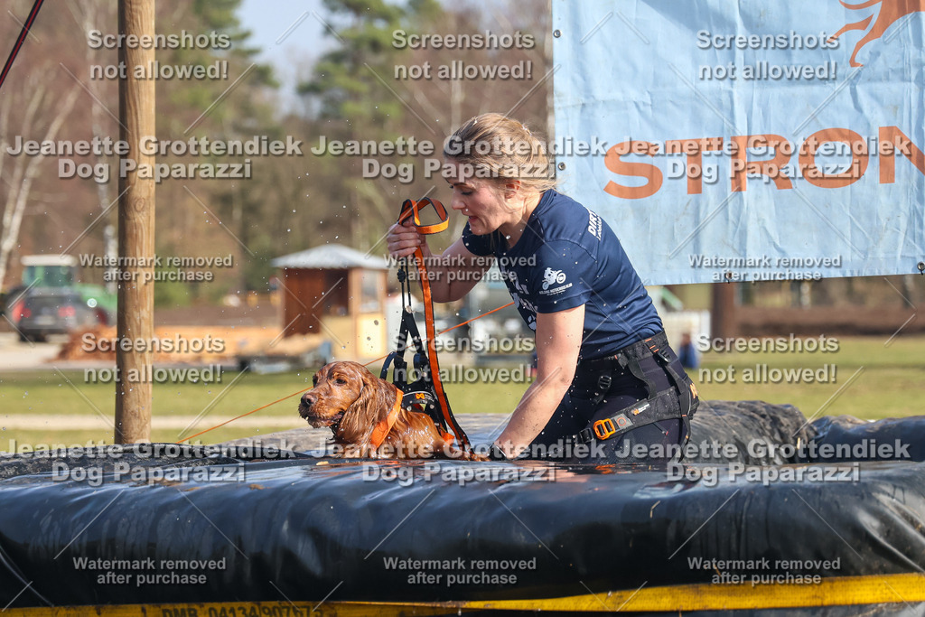 Dog Paparazzi - Strongdog North Mrz26-2397 | Dog Paparazzi Jeanette Grottendiek Fotografie & Videografie - Realisiert mit Pictrs.com