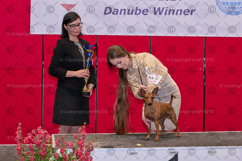 202406_ÖKV-IHA-Tulln24_NZ9_7817 | proPHOTO - Realisiert mit Pictrs.com