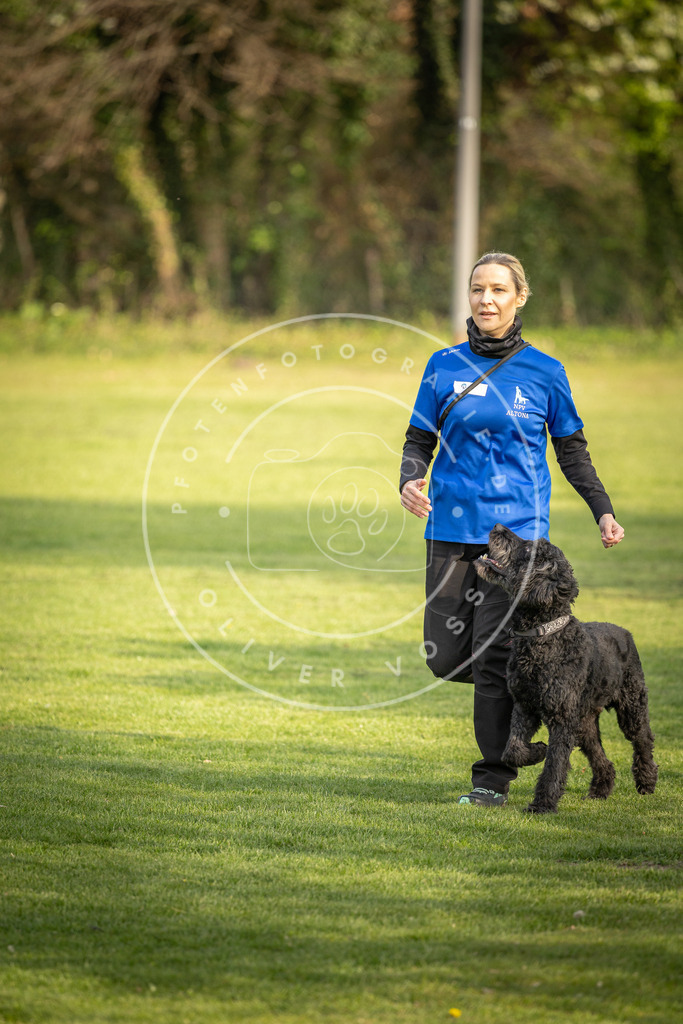 Pfotenfotografie_DV3A4794 | Hundefotografie, Tierfotograf, Pfotenfotografie, Fotoshooting Hund, Hunde Portrait, Hundesport, Hundeportraits, Heideshooting, Hunde, Sportfotograf, Hundefotograf, Turnierhundsport, THS,  - Realisiert mit Pictrs.com
