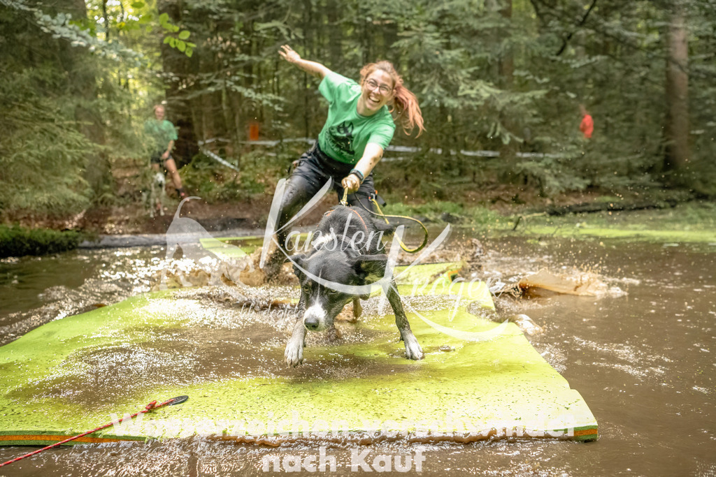 1411_ZZ91379-Bearbeitet | kk-dogfotos