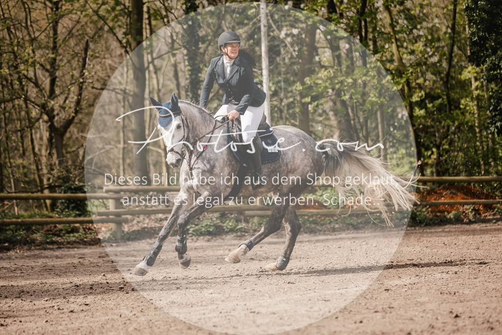 3I6A4233 | Stimmungsvolle Portraits und Reitsportfotografie im Ruhrgebiet und im Münsterland.

Pferdefotografie, Hundefotografie, Tierfotografie, Reportagen, Portraits von Tier und Mensch, Turnierfotografie in Bochum, Recklinghausen, Marl, Haltern am See, Dülmen.. - Realisiert mit Pictrs.com
