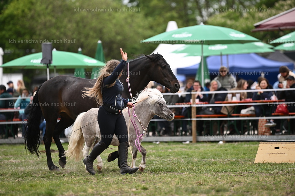 PI26_Show_Sara_Landvogt_226_1085.JPG | working equitationturnier fotograf videograf stoibphotography marixx film working equitation deutschland reitsport turnierfotografie eventfotografie equestrian events
