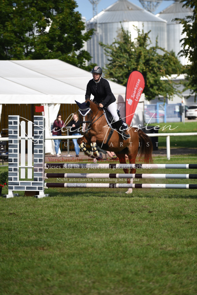 DSC_9034 | Pferde- und Turnierfotografie in Westsachsen. Pferdeportraits, Auftragszeichnungen und intuitive Kunst.