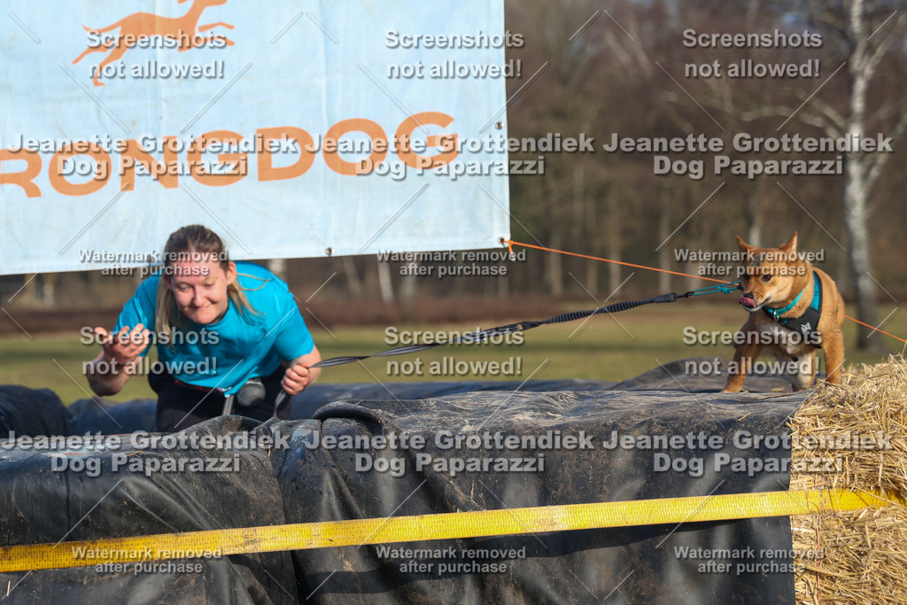 Dog Paparazzi - Strongdog North Mrz26-3574 | Dog Paparazzi Jeanette Grottendiek Fotografie & Videografie - Realisiert mit Pictrs.com
