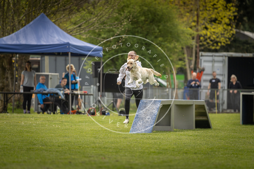 Pfotenfotografie_DV3A6545 | Hundefotografie, Tierfotograf, Pfotenfotografie, Fotoshooting Hund, Hunde Portrait, Hundesport, Hundeportraits, Heideshooting, Hunde, Sportfotograf, Hundefotograf, Turnierhundsport, THS,  - Realisiert mit Pictrs.com
