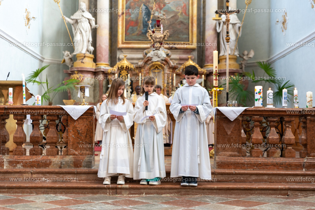 _DSC2642 | Hier finden Sie die Online Foto-Galerie von fotograf-passau.com und marius-handrugan.de. Suchen Sie sich direkt Ihre Lieblingsbilder aus, ob als Ausdruck oder Download. - Realisiert mit Pictrs.com
