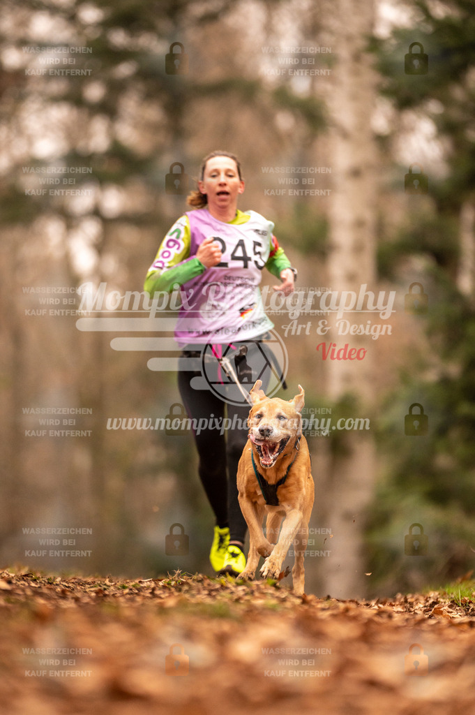 AKM_ST_2023_SAM_Run-105 | PayLife