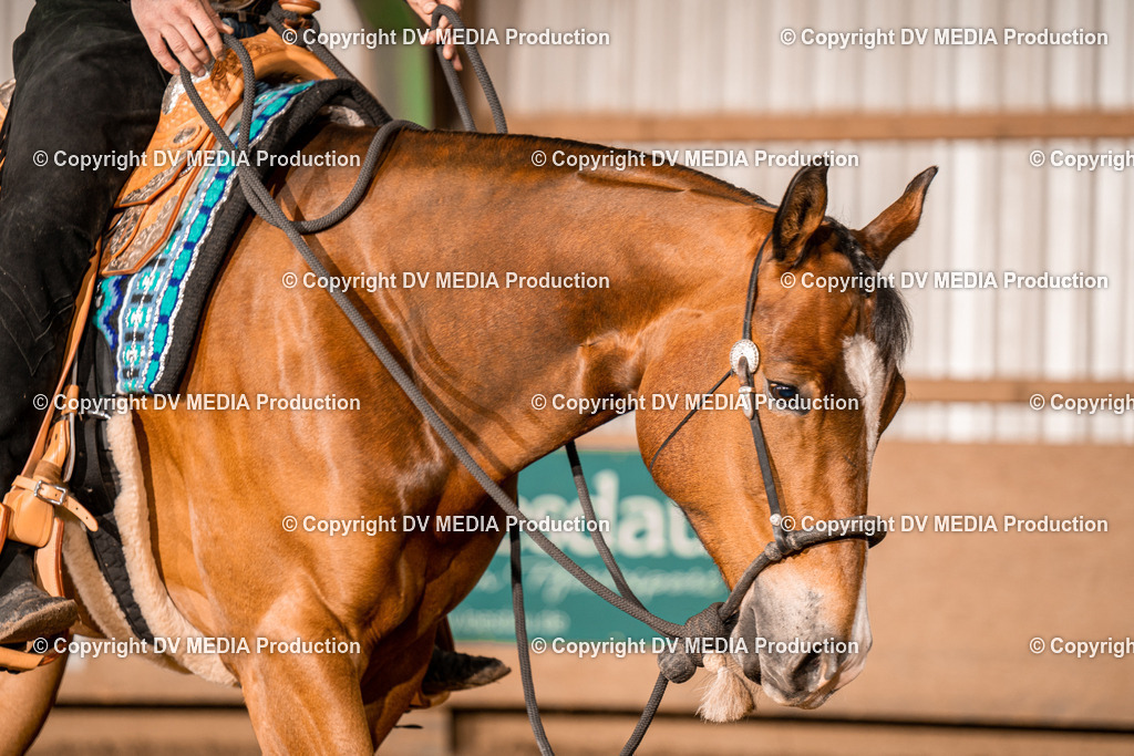 BA400174 | dv-media-shop - Realisiert mit Pictrs.com