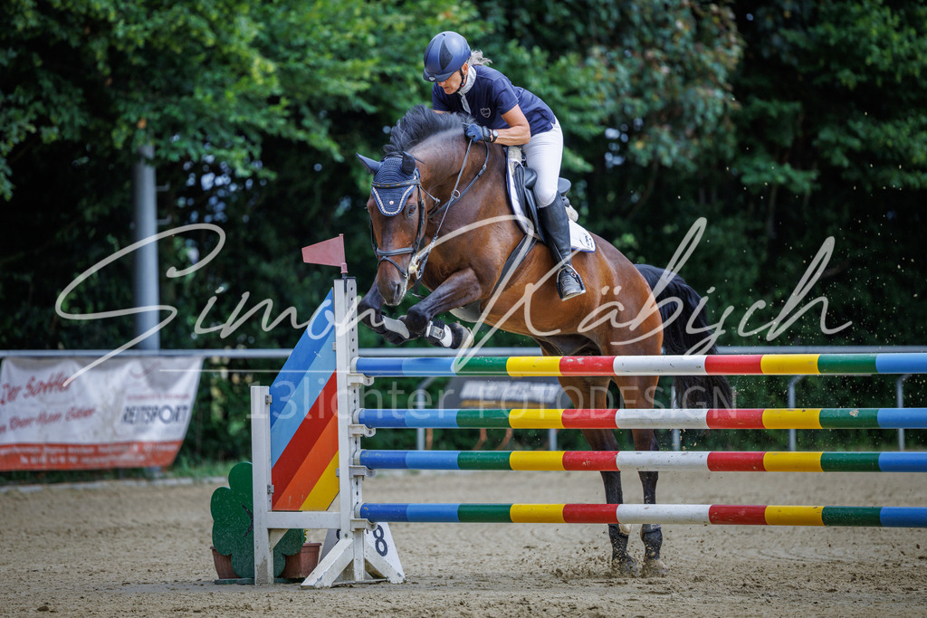 20260705-_3LI6529 | Tierfotografie Pferde, Hunde, Katzen, Haustiere.
Turnierfotografie Reitturniere, Reiten, Springreiten, Dressur in Hanau, dem Main-Kinzig-Kreis und dem Rhein-Main- Gebiet um Frankfurt