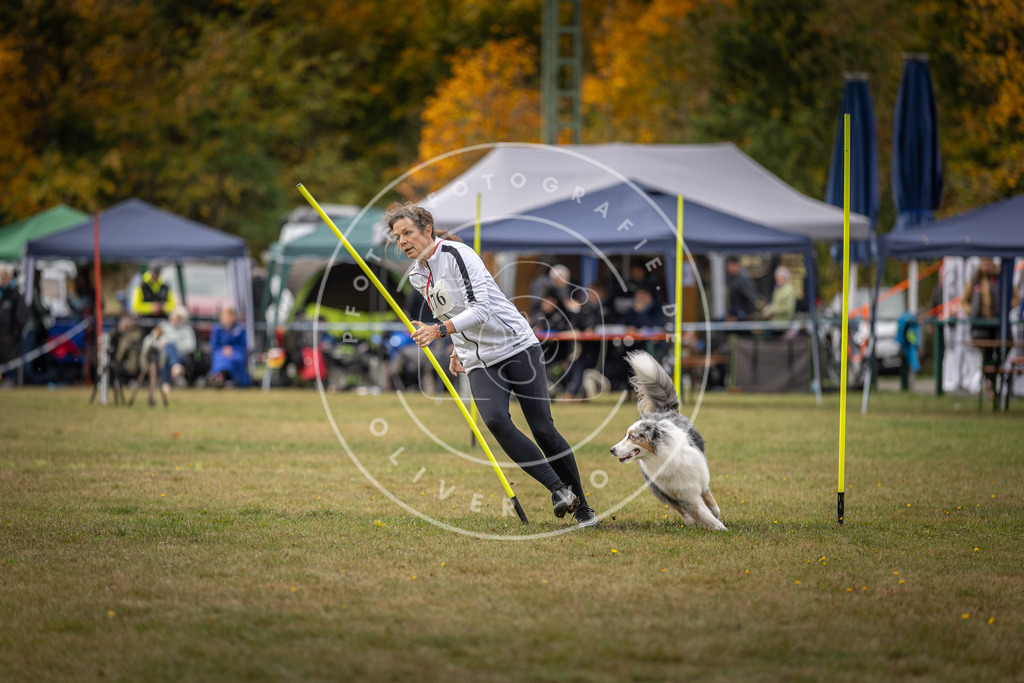Pfotenfotografie_DV3A5800 | Hundefotografie, Tierfotograf, Pfotenfotografie, Fotoshooting Hund, Hunde Portrait, Hundesport, Hundeportraits, Heideshooting, Hunde, Sportfotograf, Hundefotograf, Turnierhundsport, THS,  - Realisiert mit Pictrs.com