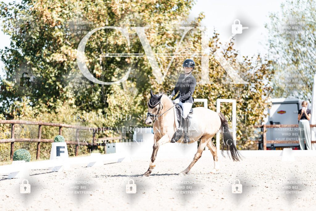 CK903834 | Turnierfotografie Pferdefotografie Trier Rheinland-Pfalz Pferdesport Reitsport Tierfotografie Sportfotografie Pferdevideo Pferdevideografie Equestrianvideography equestrianphotography  - Realisiert mit Pictrs.com