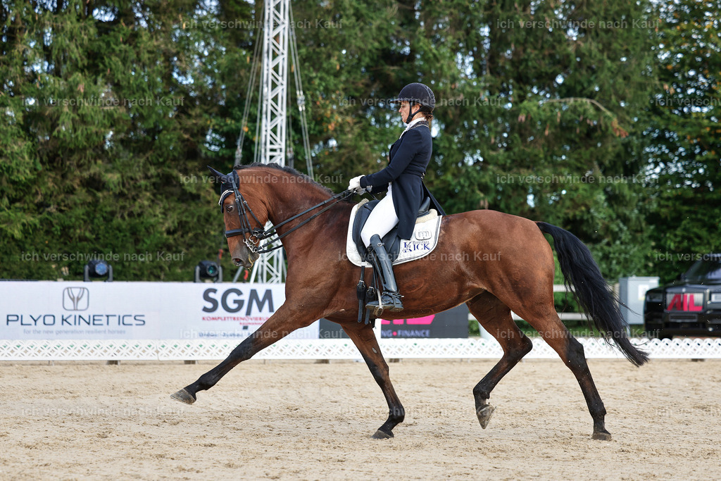 13-072-S___ -StoibPH-6997 | working equitationturnier fotograf videograf stoibphotography marixx film working equitation deutschland reitsport turnierfotografie eventfotografie equestrian events