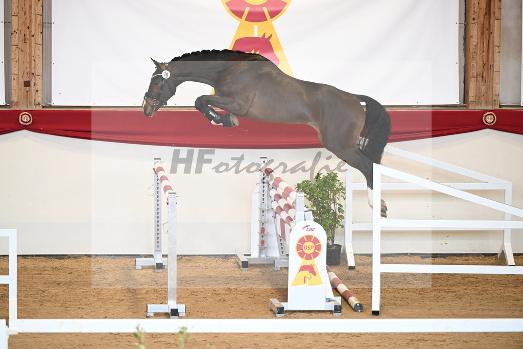 Kat.-Nr. 16 v. Cornet_s Balou_Laue_2251076 | hf-fotografie - Realizzato con Pictrs.com