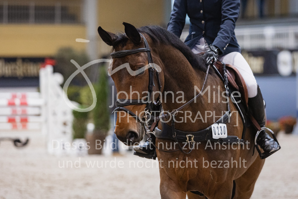 230212_Warstein_FinaleSmall-443 | Deine schönsten Turniermomente als professionelle Fotos! Entdecke hochwertige Pferdesport-Fotografie im Online-Shop. Jetzt Fotos finden & bestellen!