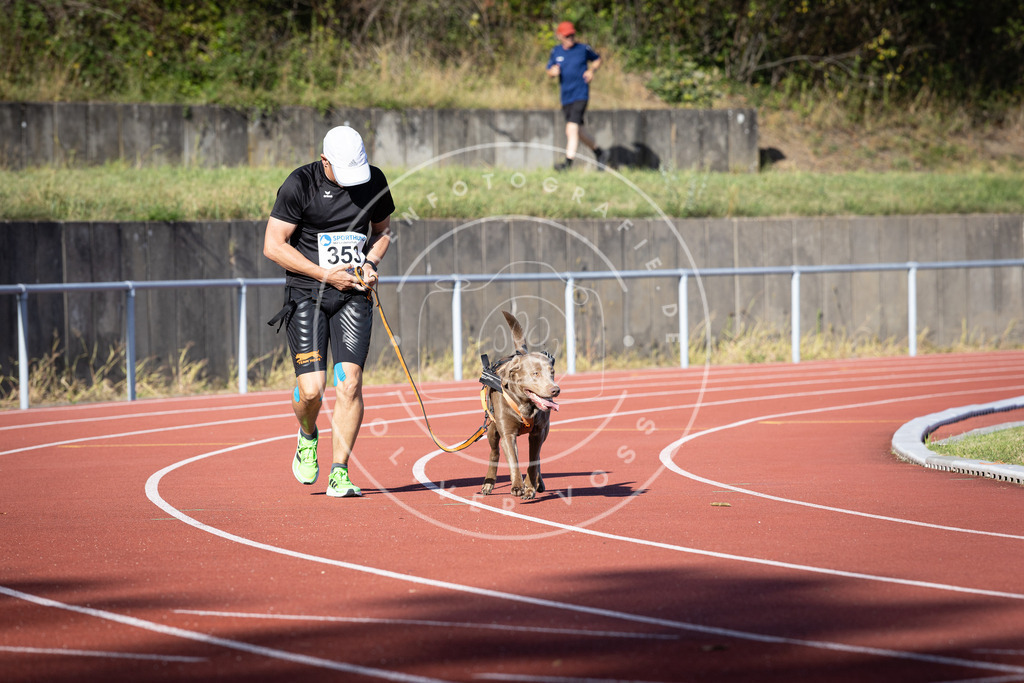 Pfotenfotografie_DV3A9981 | Hundefotografie, Tierfotograf, Pfotenfotografie, Fotoshooting Hund, Hunde Portrait, Hundesport, Hundeportraits, Heideshooting, Hunde, Sportfotograf, Hundefotograf, Turnierhundsport, THS,  - Realisiert mit Pictrs.com