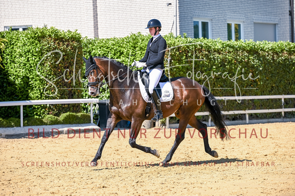 Schugtsche-Aluta25-50.Dressurpferdeprf.L-66 | Schugtsche Fotografie - Realisiert mit Pictrs.com