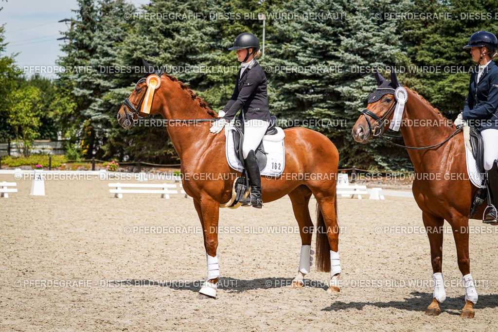 DSC01757 | Pferdegrafie