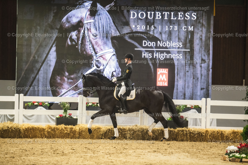 20240302_Hengstvorstellung_Marbach_TOMsPiC_1516 | equistock
