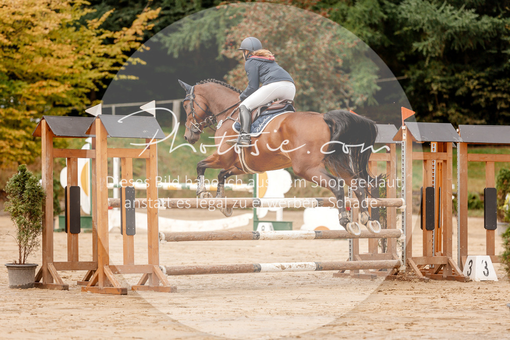 3I6A6516 | Stimmungsvolle Portraits und Reitsportfotografie im Ruhrgebiet und im Münsterland.

Pferdefotografie, Hundefotografie, Tierfotografie, Reportagen, Portraits von Tier und Mensch, Turnierfotografie in Bochum, Recklinghausen, Marl, Haltern am See, Dülmen.. - Realisiert mit Pictrs.com