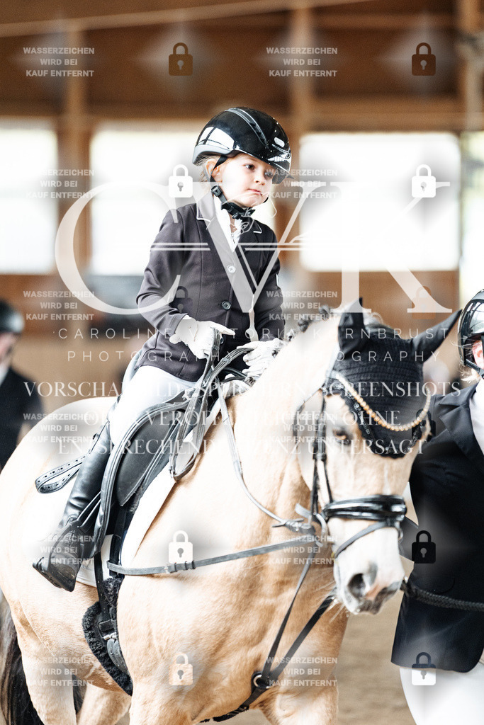 CK901899 | Turnierfotografie Pferdefotografie Trier Rheinland-Pfalz Pferdesport Reitsport Tierfotografie Sportfotografie Pferdevideo Pferdevideografie Equestrianvideography equestrianphotography  - Realized with Pictrs.com