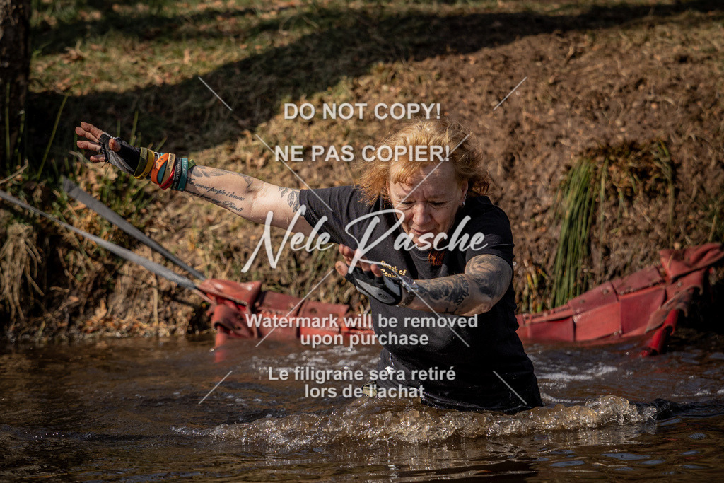 nelerasche_FS1330-1400_04 | nelerasche