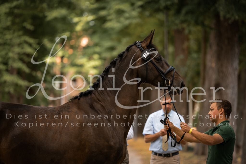 FrPfM00038 | Leoni Ertmer Photography - Realisiert mit Pictrs.com