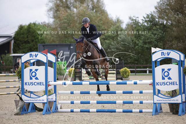 1J2A1840Claas Hermann Romeike_ My Way 42_ Kn764_ Havekost | Foto- und Videografie für alles rund ums Pferd. Hochwertige Bilder und Videos vom Spring- und Dressurreiten, Voltigieren & mehr. Jetzt aktuelle Veranstaltungen und Preise im Shop ansehen. - Realisiert mit Pictrs.com