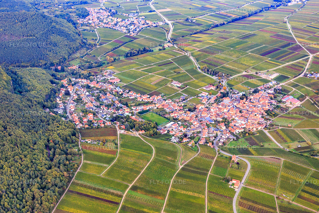 Luftbild: Winzerdorf aus Süden in Frankweiler im Bundesland Rheinland-Pfalz in Deutschland. Foto: IMG_103820.jpg vom 01.10.2017 durch Werner Riehm/FLY-FOTO.de