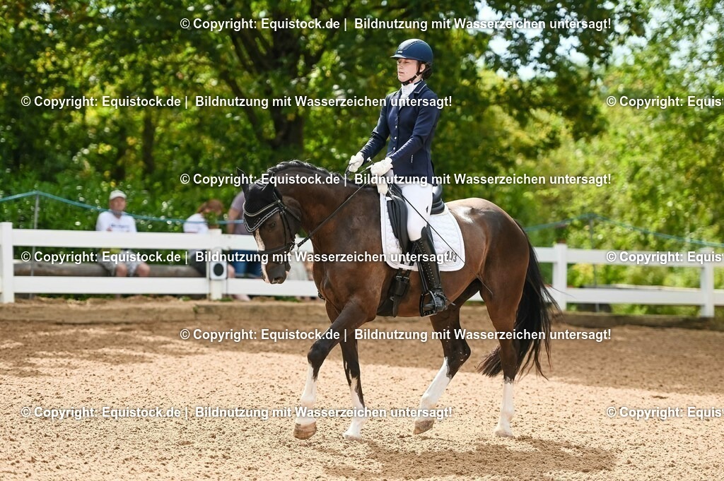 20230715_07_Dressurpferdeprfg. Kl.L_0011 | equistock