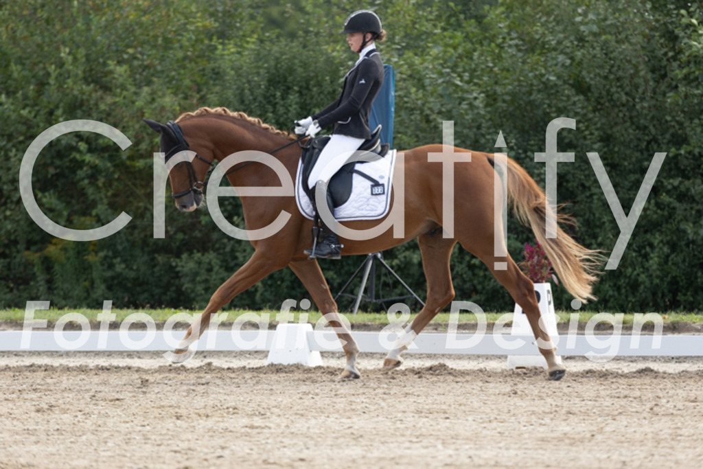 IMG_9811 | Creatify Fotografie