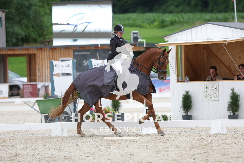 0P6A7365 | Willkommen bei Brunnmayr - Design & Fotografie – Ihrem Spezialisten für Reitturniere und Pferdeveranstaltungen in Oberösterreich, Salzburg und Bayern! Seit über 17 Jahren sind wir leidenschaftlich dabei.