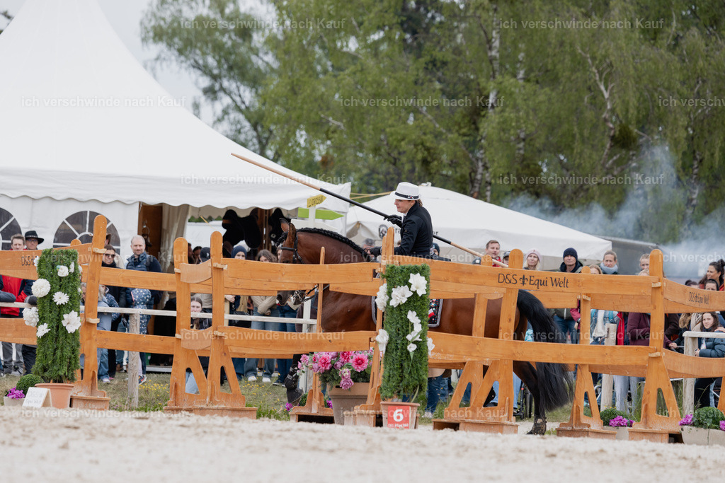 PI26_SP_StoibphotographyC2_C0934.jpg | working equitationturnier fotograf videograf stoibphotography marixx film working equitation deutschland reitsport turnierfotografie eventfotografie equestrian events