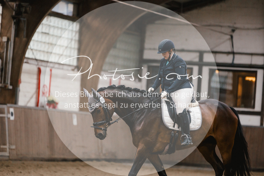 3I6A6107 | Stimmungsvolle Portraits und Reitsportfotografie im Ruhrgebiet und im Münsterland.

Pferdefotografie, Hundefotografie, Tierfotografie, Reportagen, Portraits von Tier und Mensch, Turnierfotografie in Bochum, Recklinghausen, Marl, Haltern am See, Dülmen.. - Realisiert mit Pictrs.com