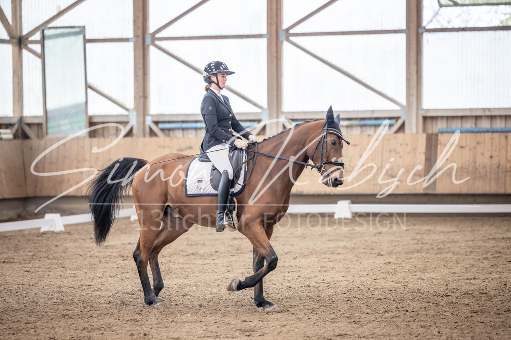 20251011-_3LI0260 | Tierfotografie Pferde, Hunde, Katzen, Haustiere.
Turnierfotografie Reitturniere, Reiten, Springreiten, Dressur in Hanau, dem Main-Kinzig-Kreis und dem Rhein-Main- Gebiet um Frankfurt