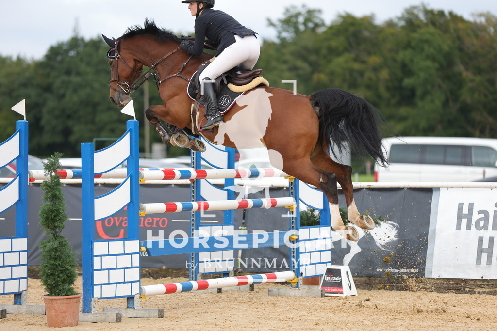 0P6A9416 | Willkommen bei Brunnmayr - Design & Fotografie – Ihrem Spezialisten für Reitturniere und Pferdeveranstaltungen in Oberösterreich, Salzburg und Bayern! Seit über 17 Jahren sind wir leidenschaftlich dabei.