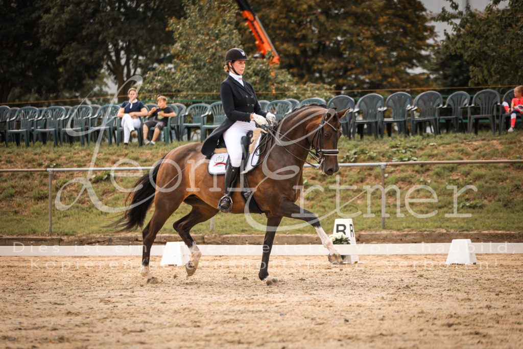 19.FrDrS00453 | Leoni Ertmer Photography - Realisiert mit Pictrs.com