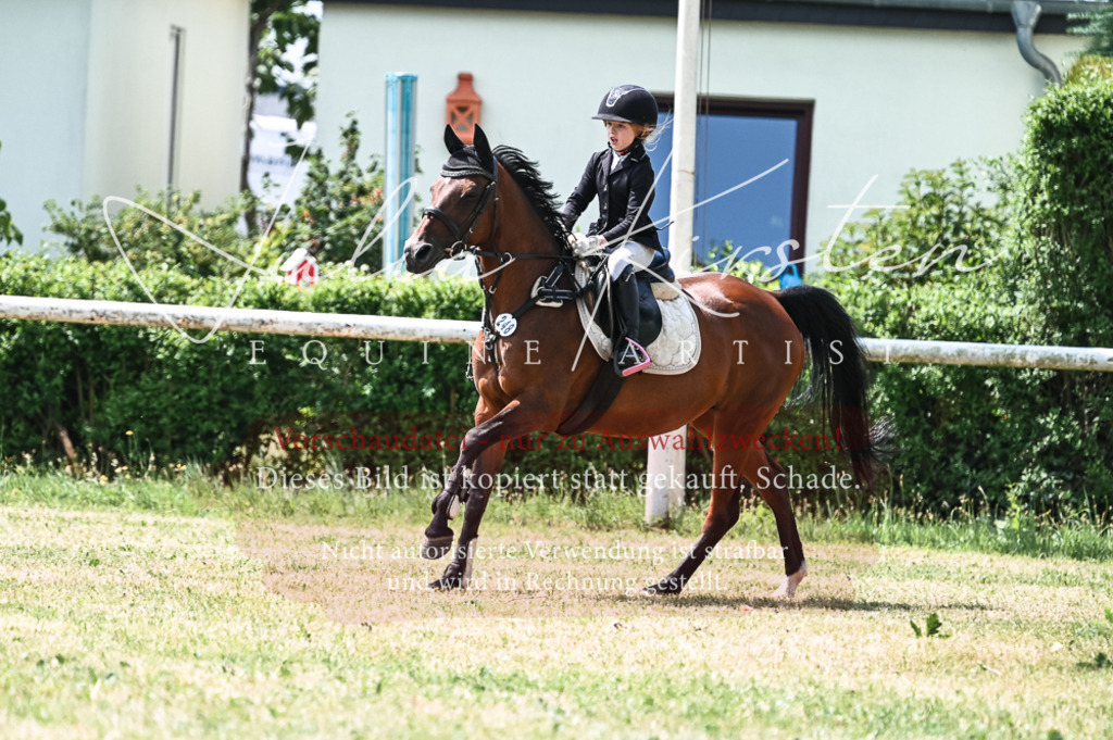 DSC_9349 | Pferde- und Turnierfotografie in Westsachsen. Pferdeportraits, Auftragszeichnungen und intuitive Kunst.