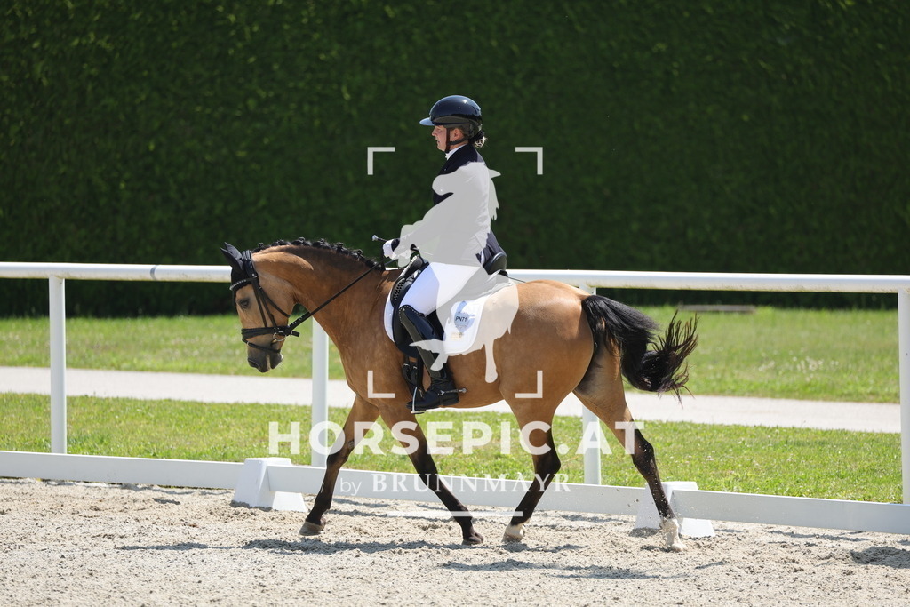 0P6A1659 | Willkommen bei Brunnmayr - Design & Fotografie – Ihrem Spezialisten für Reitturniere und Pferdeveranstaltungen in Oberösterreich, Salzburg und Bayern! Seit über 17 Jahren sind wir leidenschaftlich dabei.