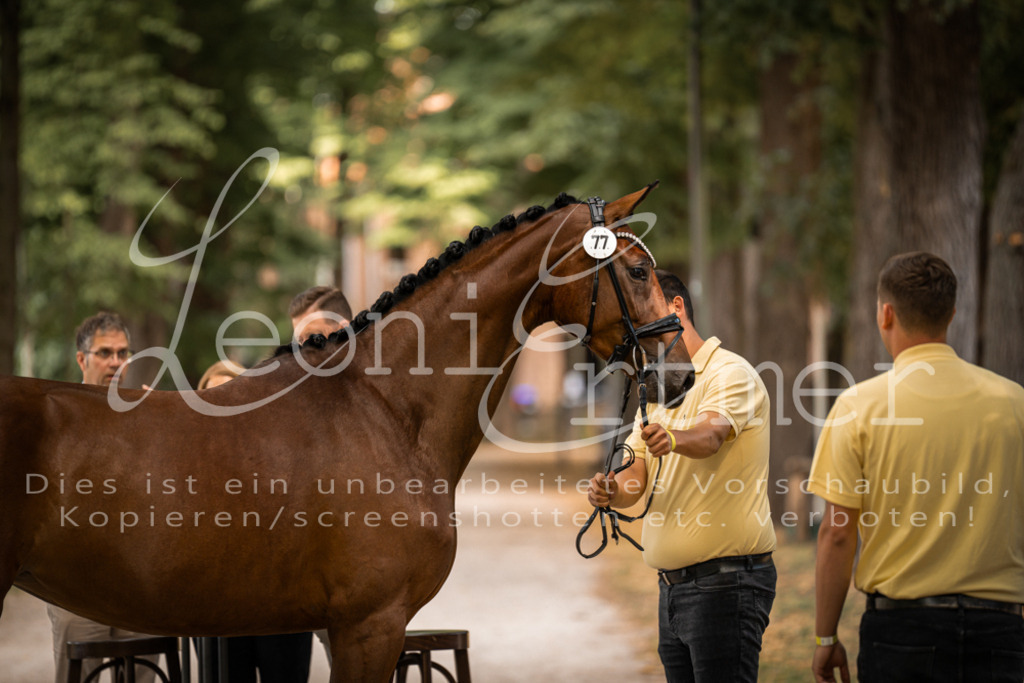 FrPfM00030 | Leoni Ertmer Photography - Realisiert mit Pictrs.com