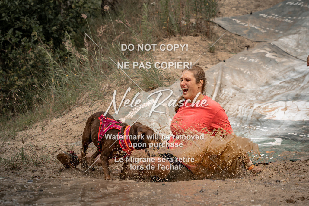 nelerasche_sa1345-1430_57 | nelerasche