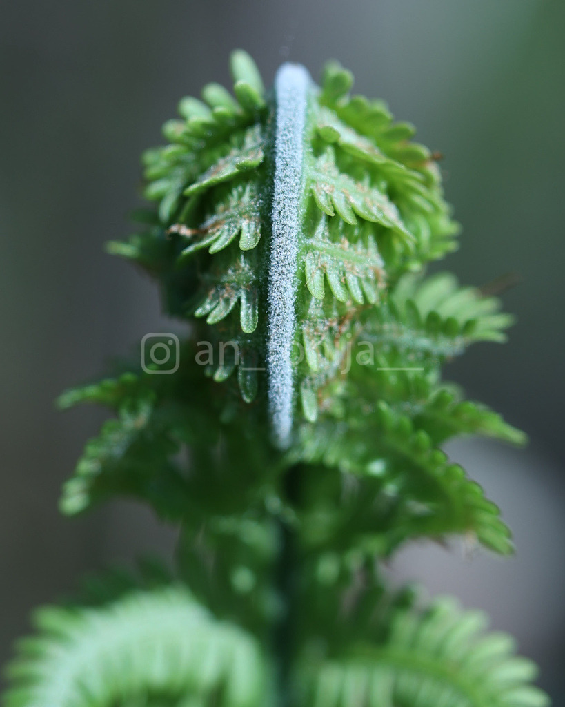 JB3A9417 | antonija-trupina - Realisiert mit Pictrs.com