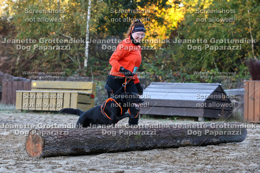 Dog Paparazzi - Strongdog 10-25-257 | Dog Paparazzi Jeanette Grottendiek Fotografie & Videografie - Realisiert mit Pictrs.com