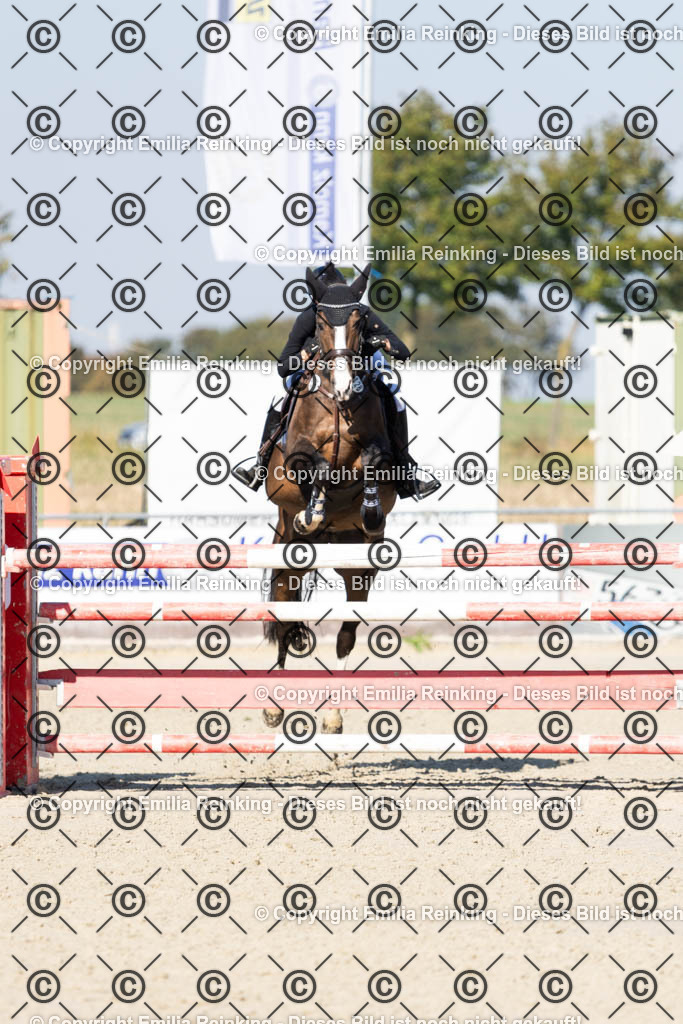 CL5A6743 | Emilia Reinking Fotografie - Realisiert mit Pictrs.com