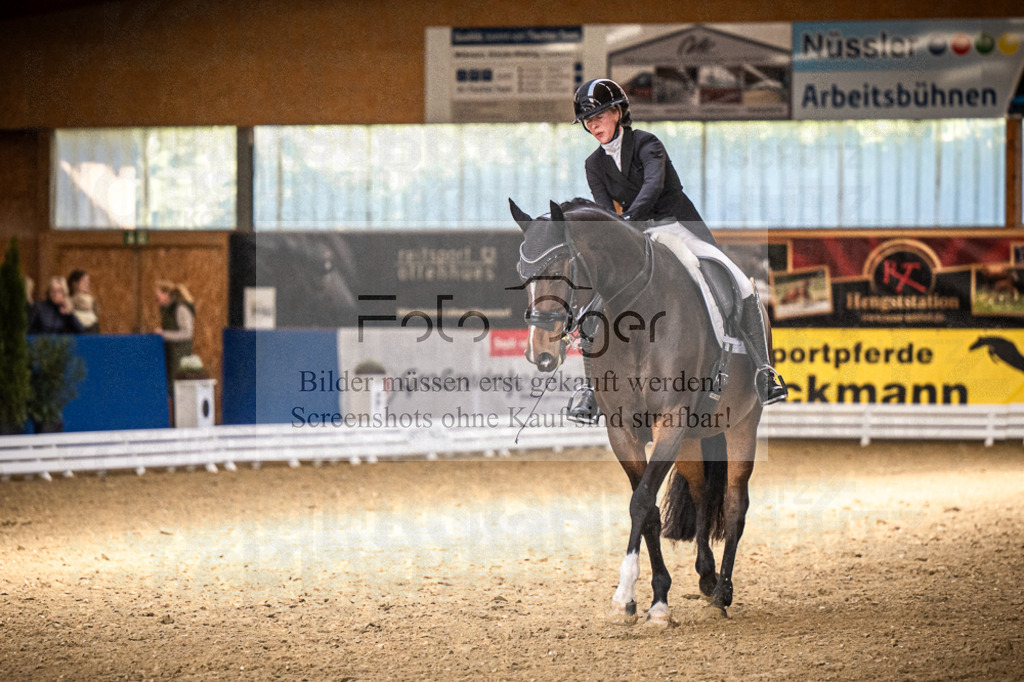 DOS_1758 | Entdecke hochwertige Reitturnierfotos von Foto Oger. Professionell, emotional und authentisch – jetzt Lieblingsmomente im Shop bestellen.Deutschlandweite Turnierfotografie. - Realisiert mit Pictrs.com