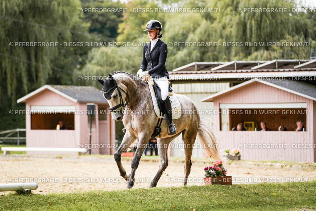 DSC01430 | Pferdegrafie