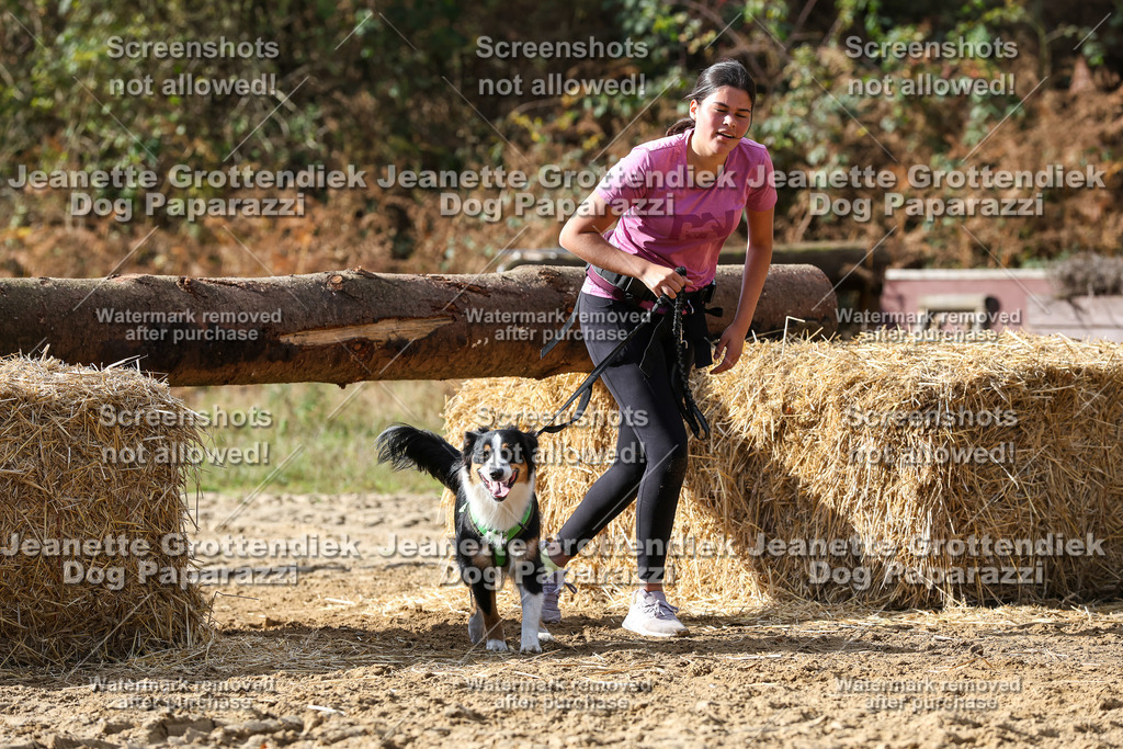 Dog Paparazzi - Strongdog 10-25-5064 | Dog Paparazzi Jeanette Grottendiek Fotografie & Videografie - Realisiert mit Pictrs.com