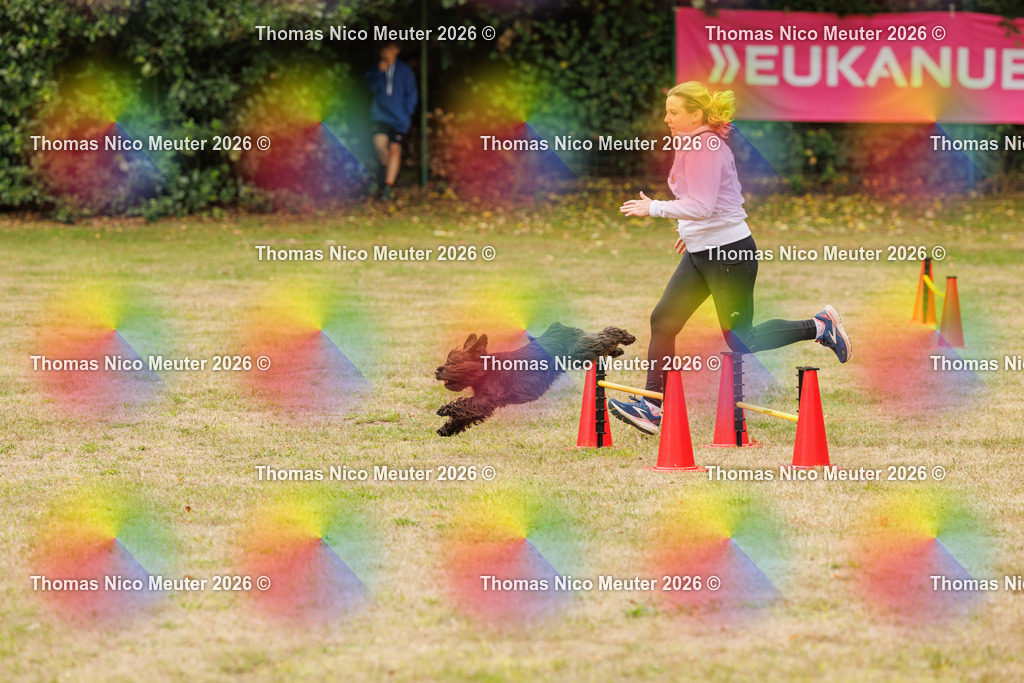 Thomas_Nico_Meuter(C)_23. August 2026_223A9008 | Bild von Thomas Nico Meuter - Realisiert mit Pictrs.com