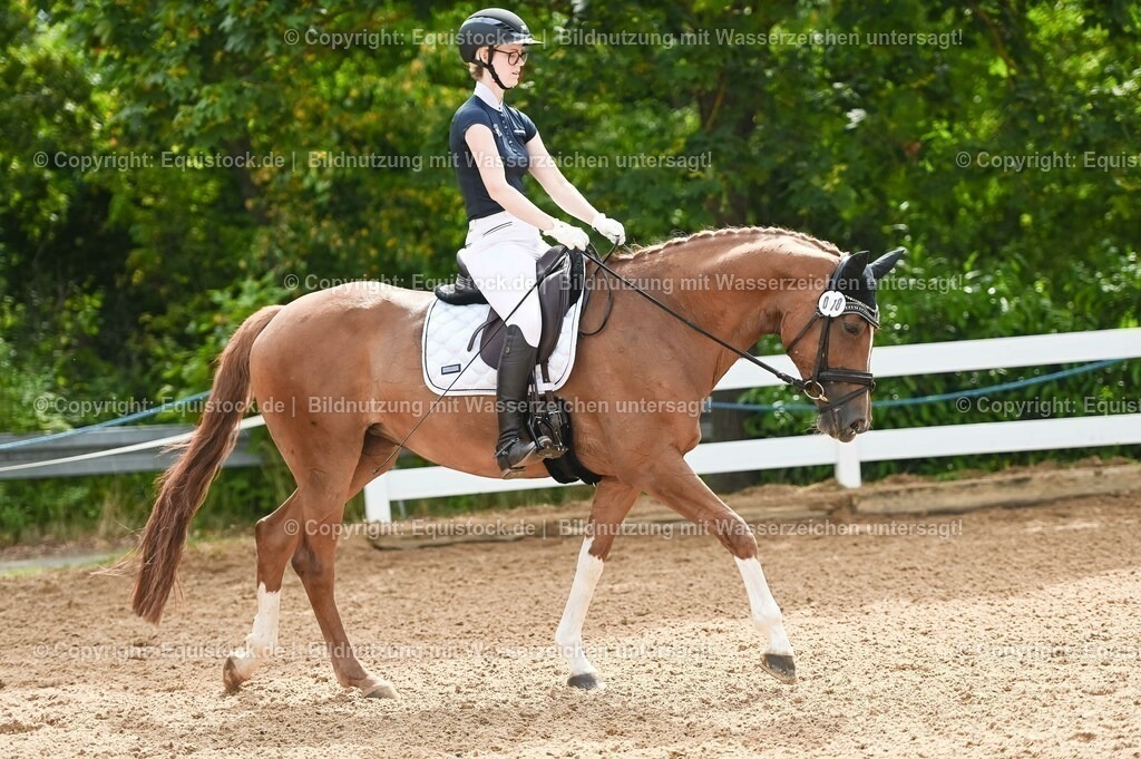 20230715_07_Dressurpferdeprfg. Kl.L_0098 | equistock