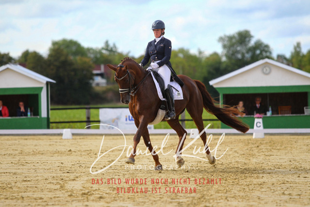 DKP44471 | Turniersportfotografie; Pferdefotografie; Dressurfotografie