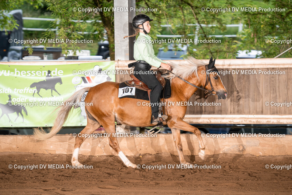 Erbach Tag 1-1006 | dv-media-shop - Realisiert mit Pictrs.com